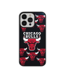 Cover Chicago Bulls