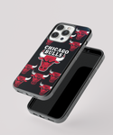 Cover Chicago Bulls